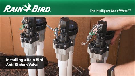 rain bird anti siphon valve leaking|Rain Bird Valve leaks briefly from backflow upon。